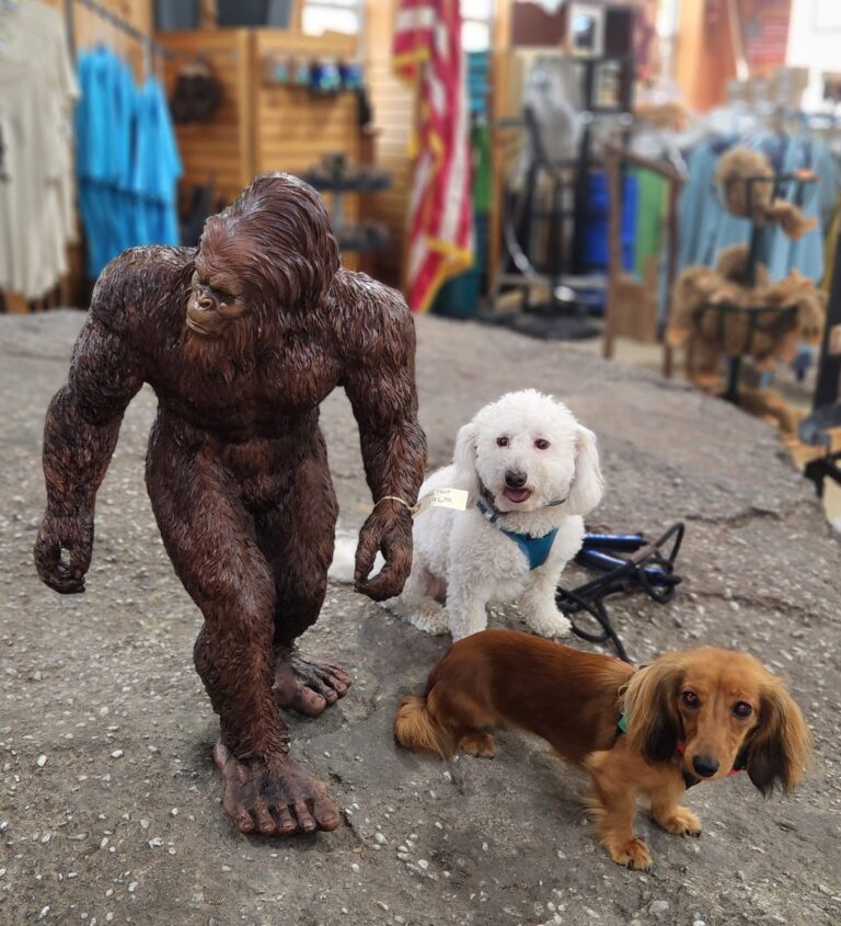 Jorah Jude Roc City Park 2 768x845