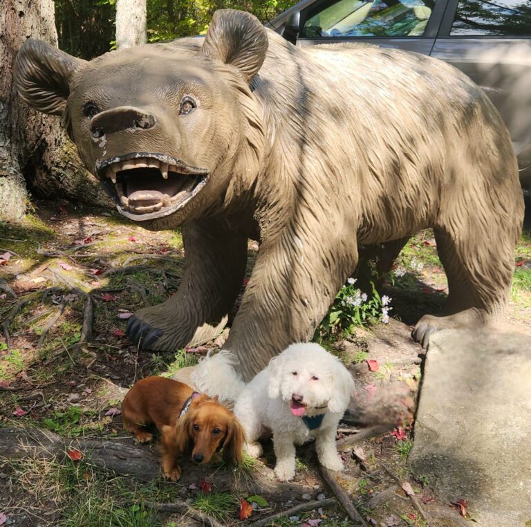 Jorah Jude Roc City Park 3 768x762